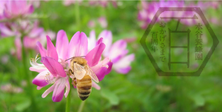 水谷養蜂園 おかげさまで百周年